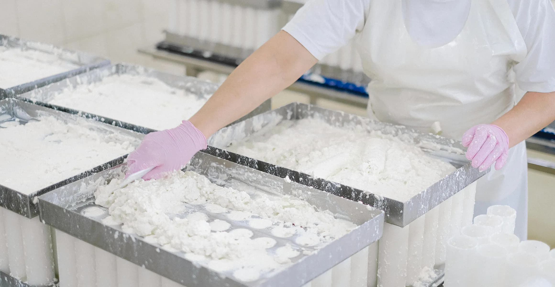 Organic Protein Food Manufacturer & Exporter